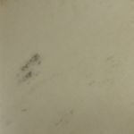 Sivec